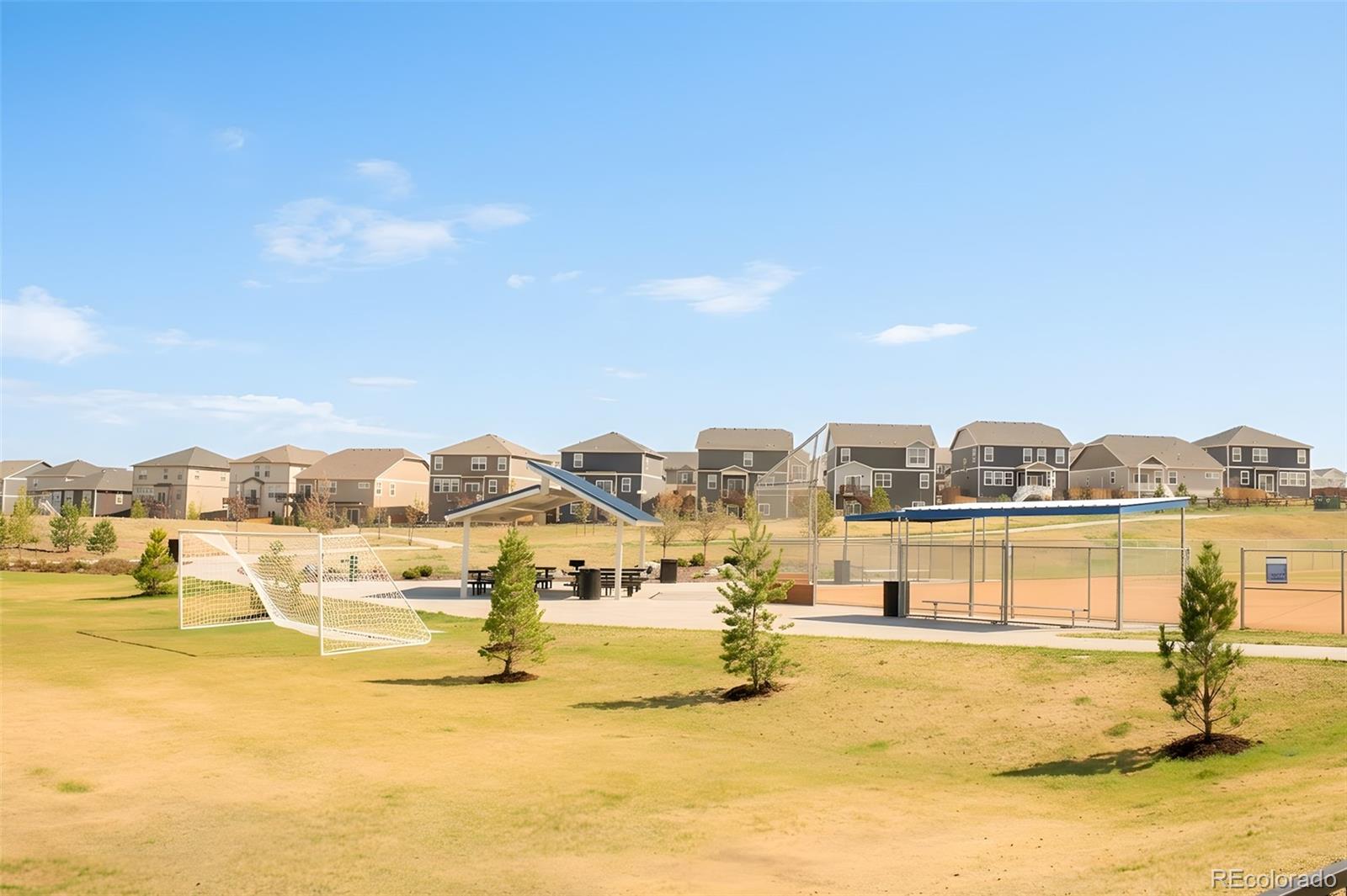 MLS Image #31 for 14047  rock daisy street,parker, Colorado
