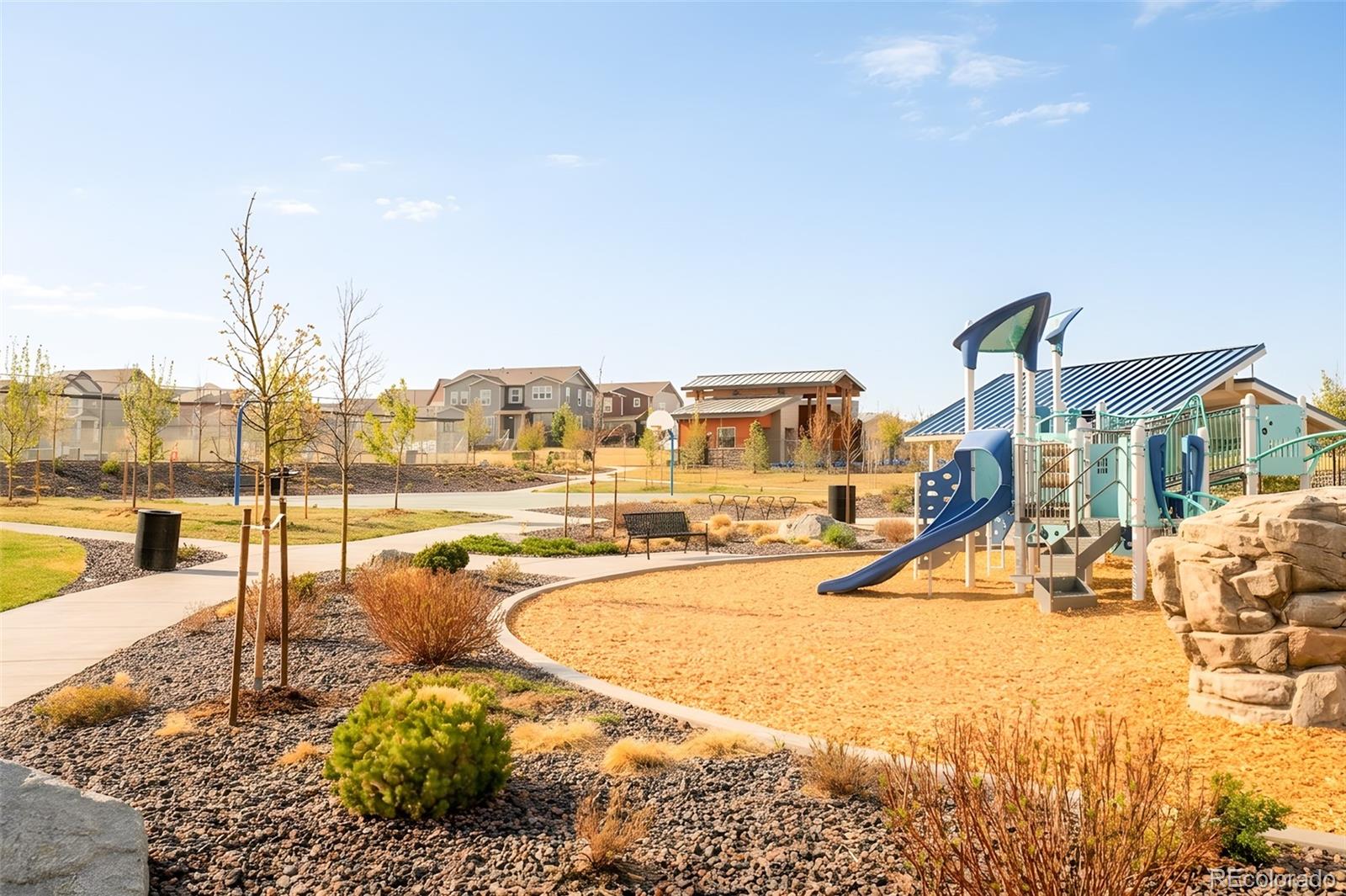 MLS Image #32 for 14047  rock daisy street,parker, Colorado