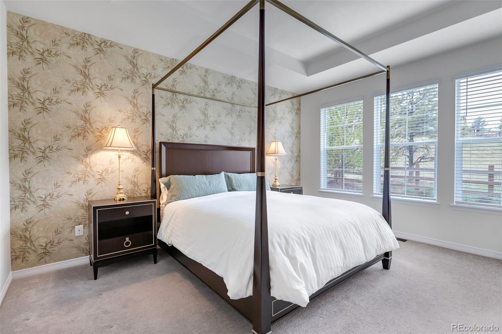 MLS Image #2 for 8049 s jackson gap street,aurora, Colorado