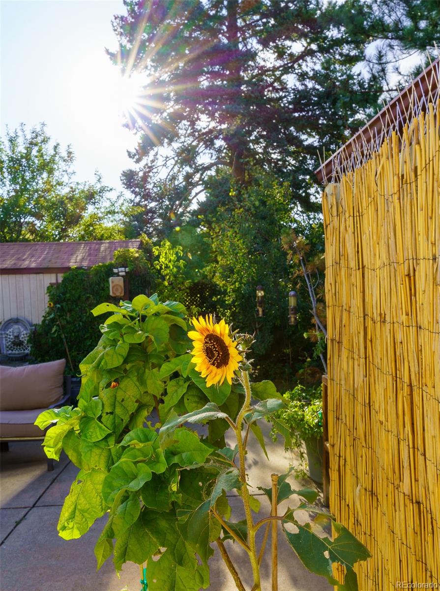 MLS Image #25 for 450 s quitman street,denver, Colorado