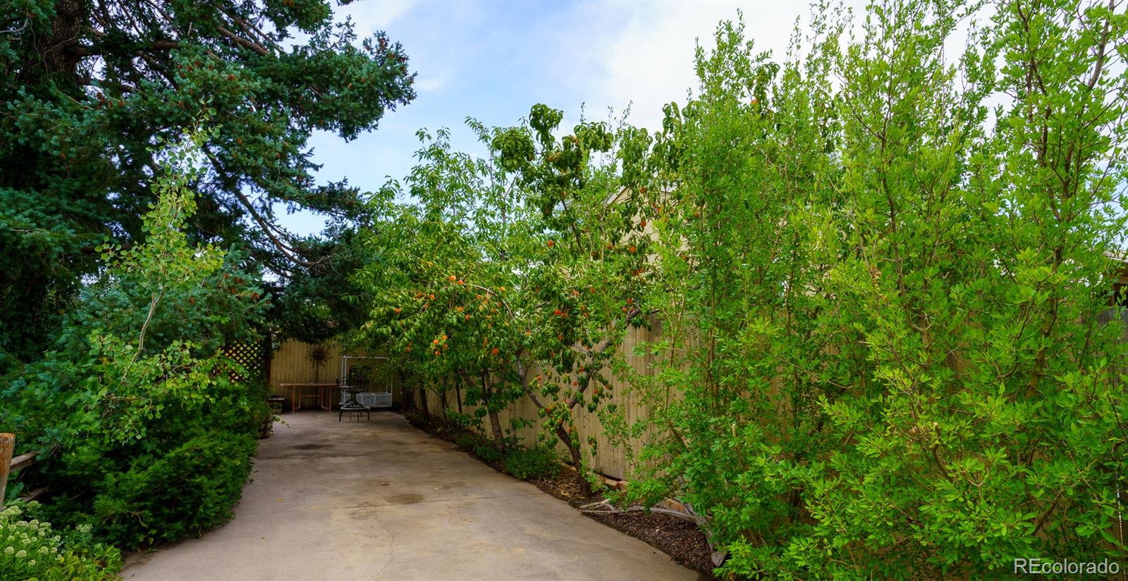 MLS Image #3 for 450 s quitman street,denver, Colorado