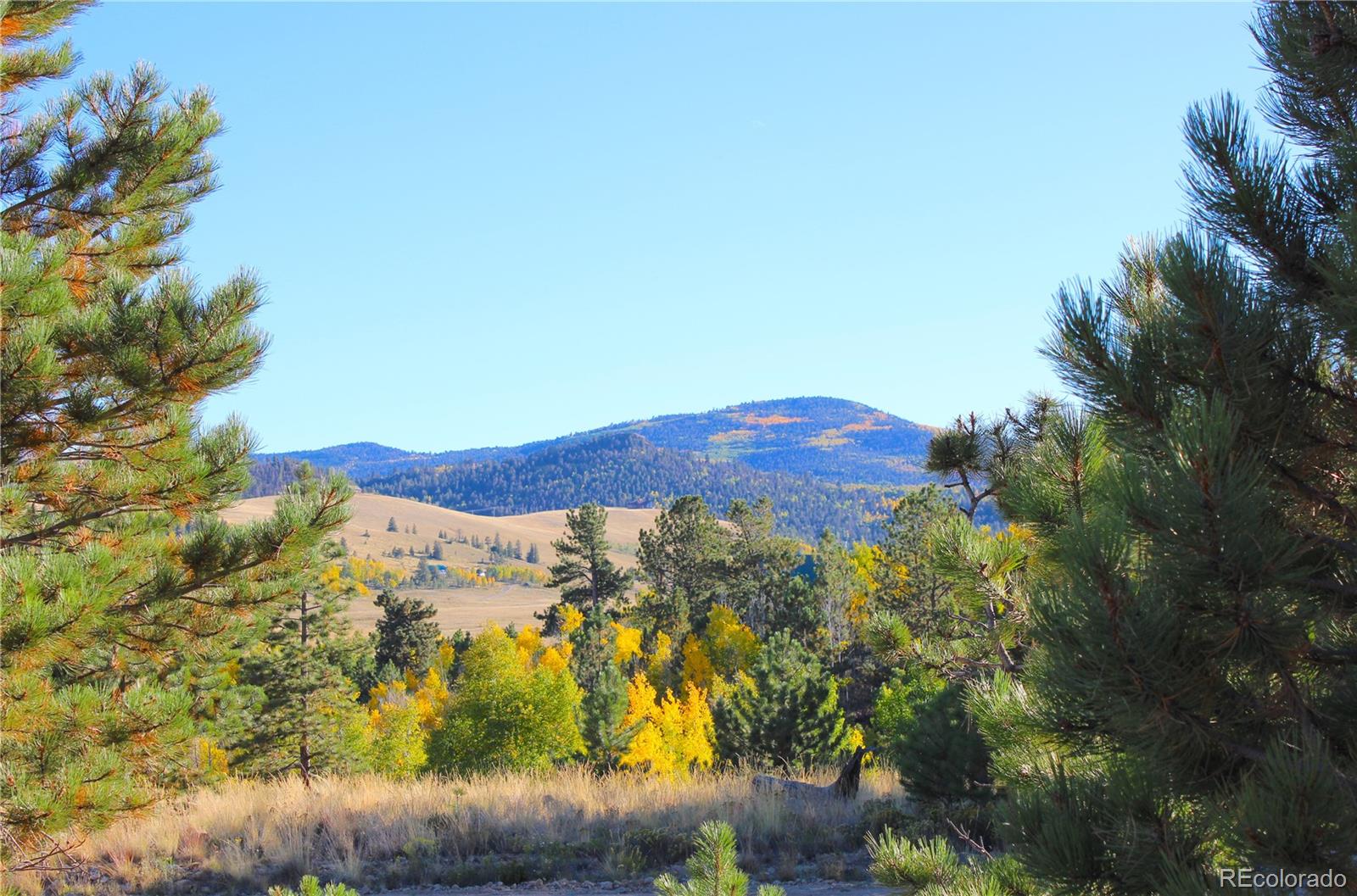 MLS Image #45 for 59  whip way,hartsel, Colorado