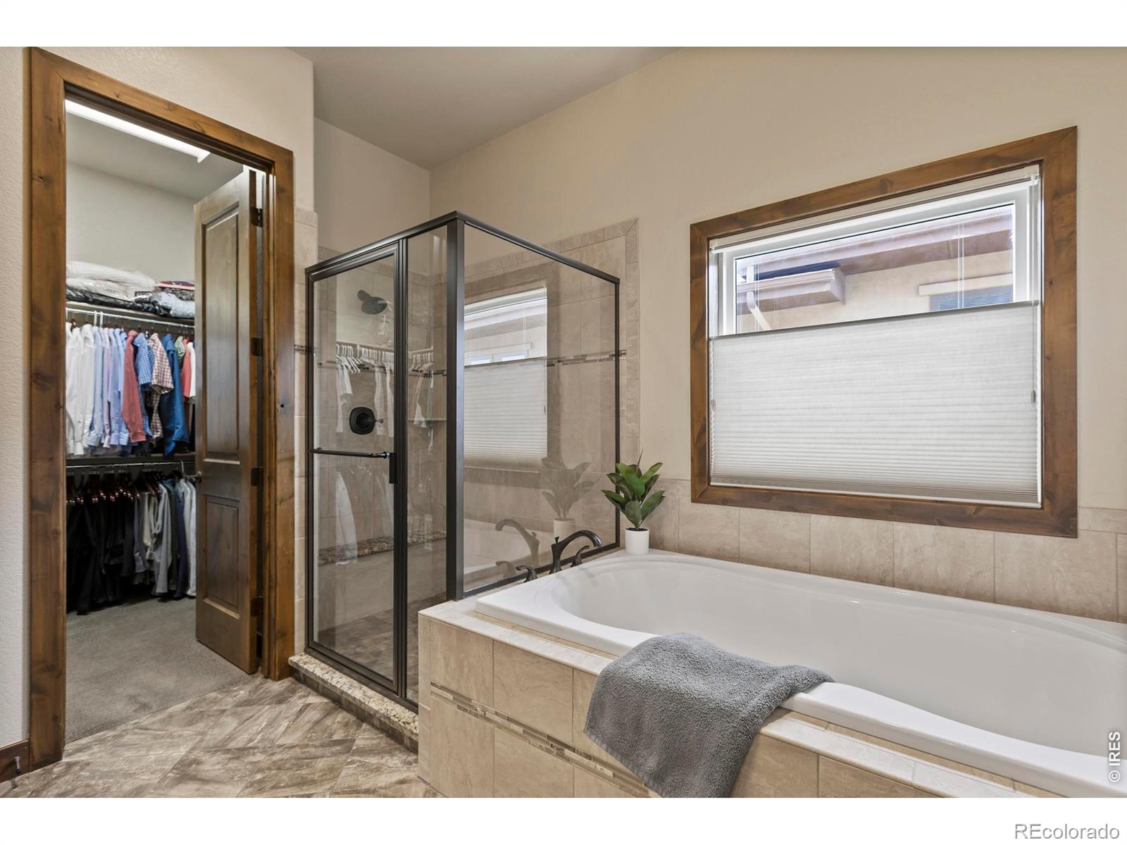 MLS Image #17 for 6902  white snow court,timnath, Colorado