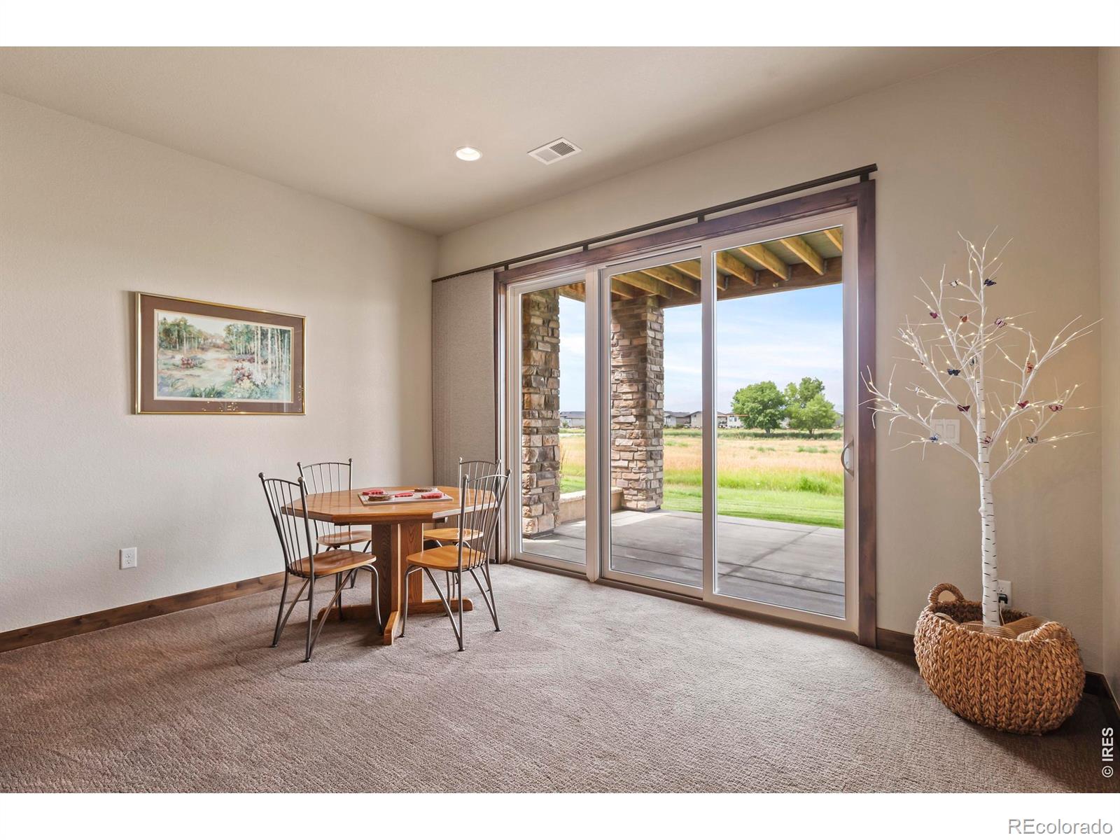 MLS Image #23 for 6902  white snow court,timnath, Colorado