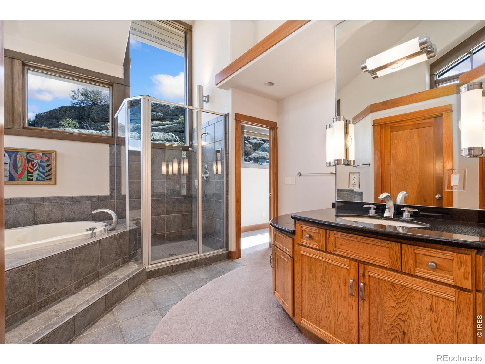 MLS Image #19 for 10  mariposa court,red feather lakes, Colorado