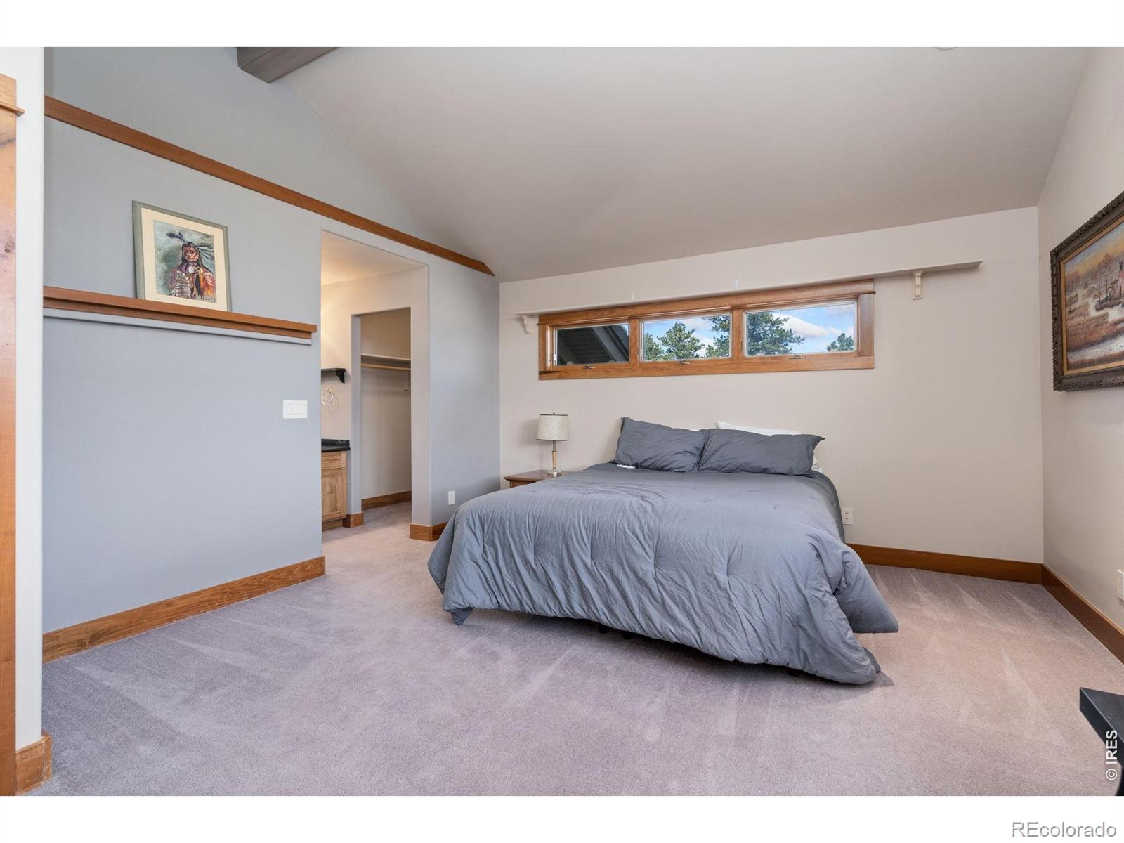 MLS Image #28 for 10  mariposa court,red feather lakes, Colorado