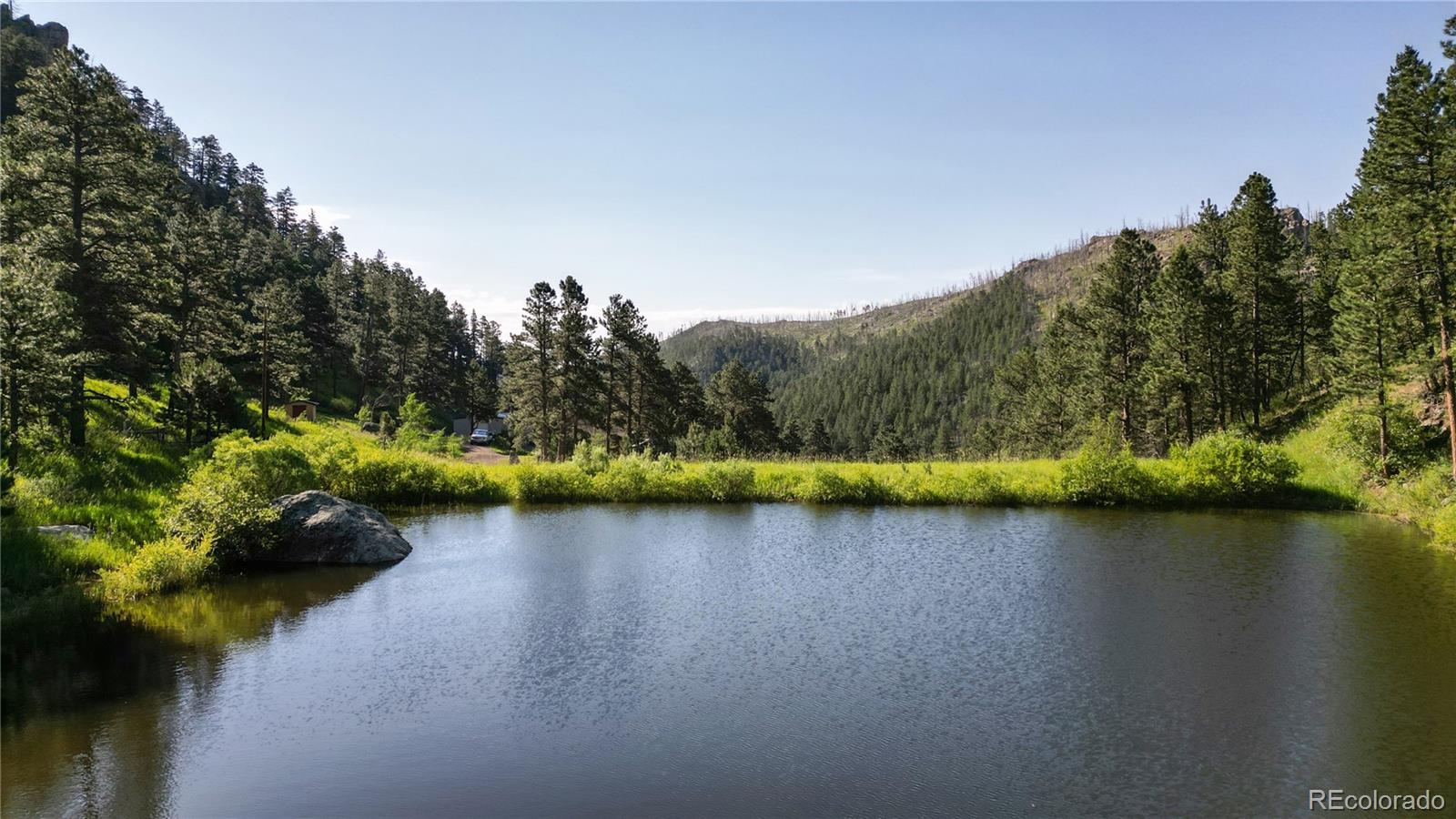 MLS Image #1 for 1268  spring valley road,bellvue, Colorado