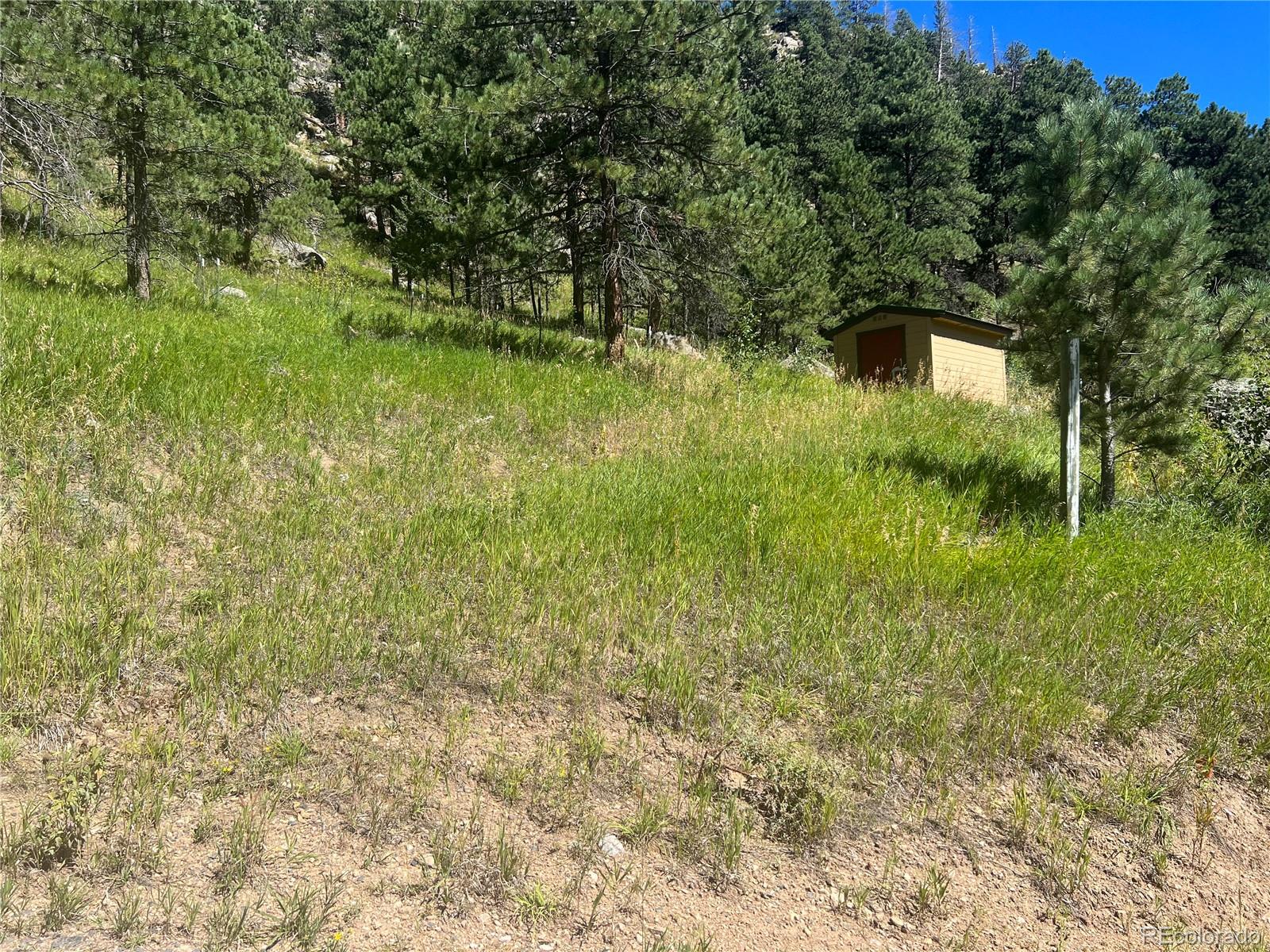 MLS Image #30 for 1268  spring valley road,bellvue, Colorado