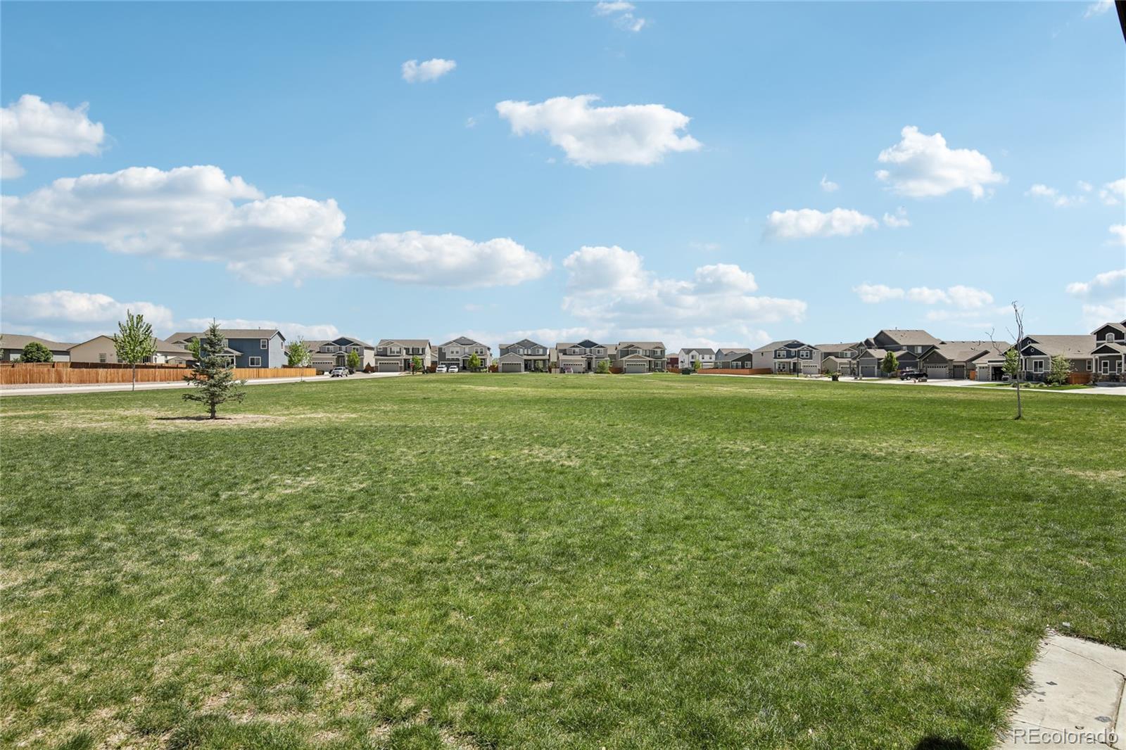 MLS Image #42 for 2398  pineywoods street,mead, Colorado