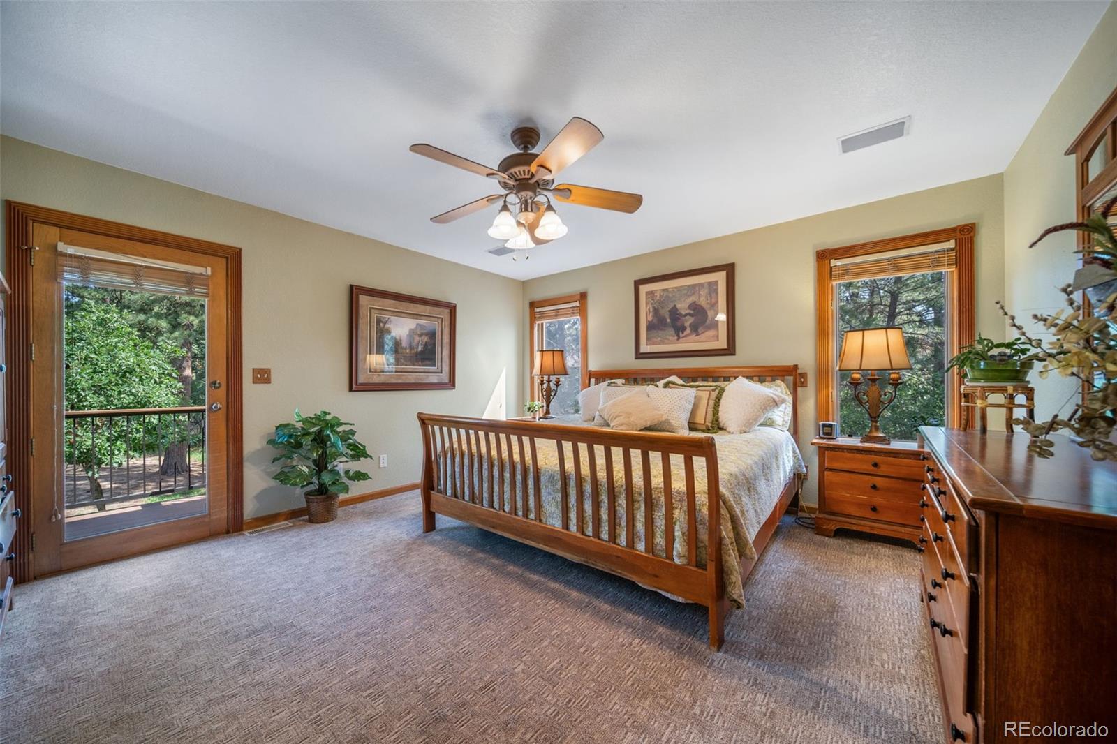 MLS Image #18 for 1087  tenderfoot drive,larkspur, Colorado