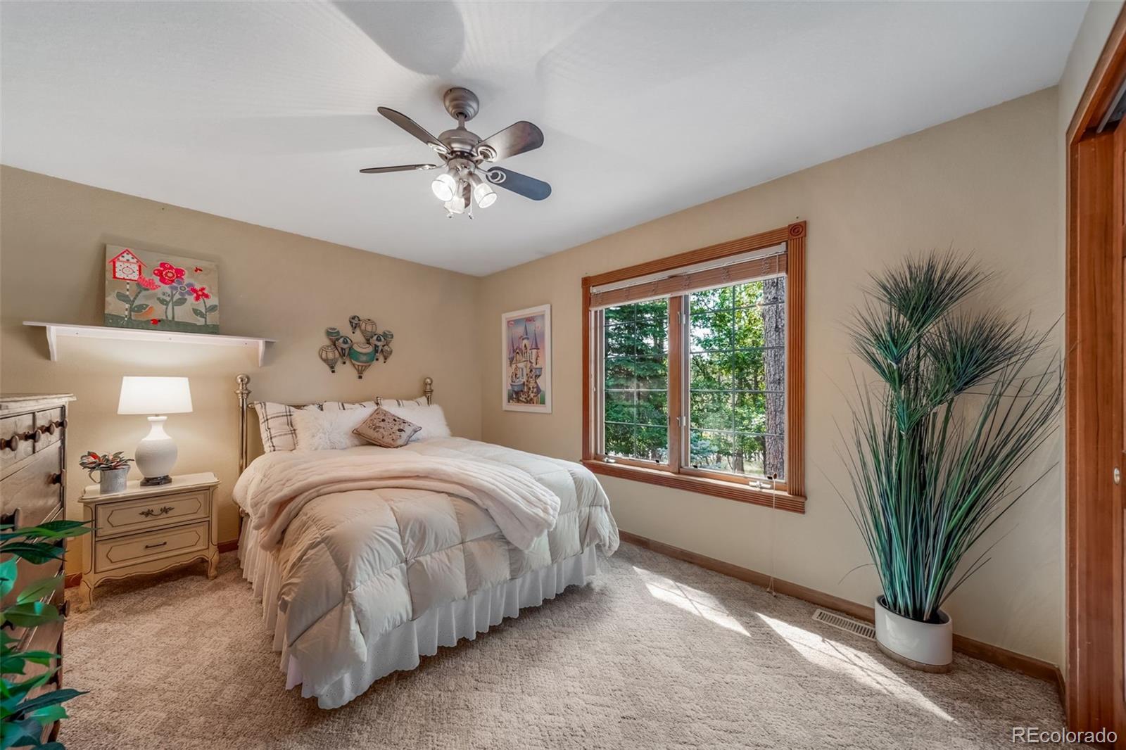 MLS Image #23 for 1087  tenderfoot drive,larkspur, Colorado
