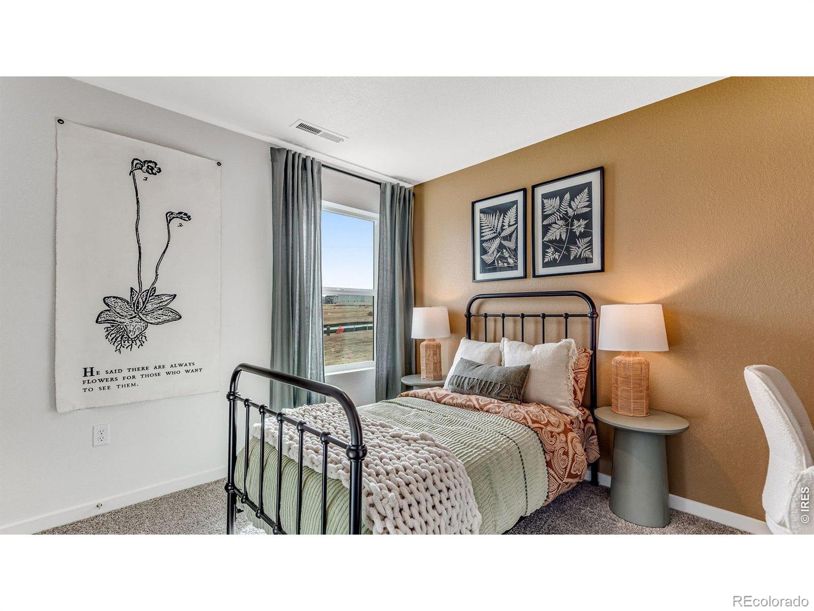 MLS Image #25 for 1101  trilling drive,windsor, Colorado