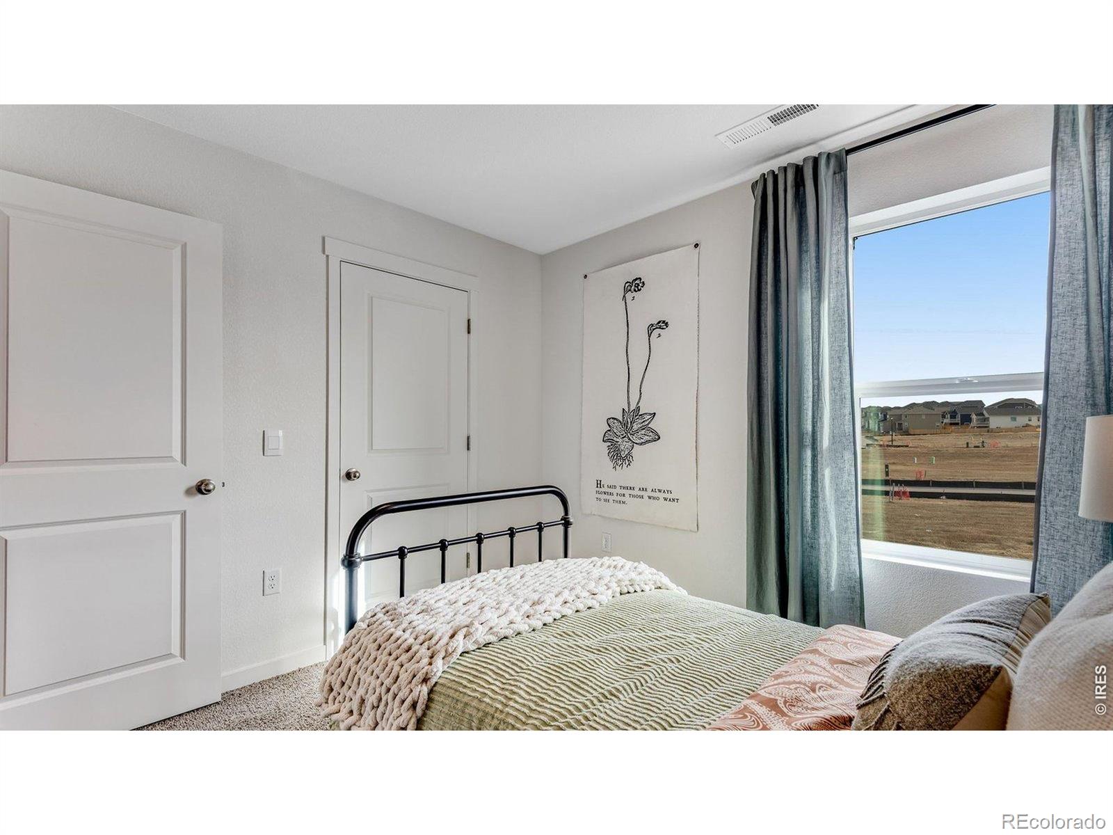 MLS Image #27 for 1101  trilling drive,windsor, Colorado