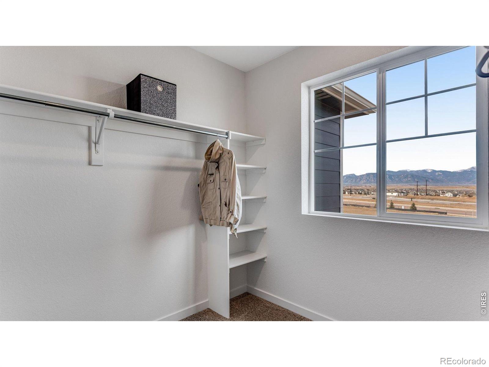MLS Image #44 for 1101  trilling drive,windsor, Colorado