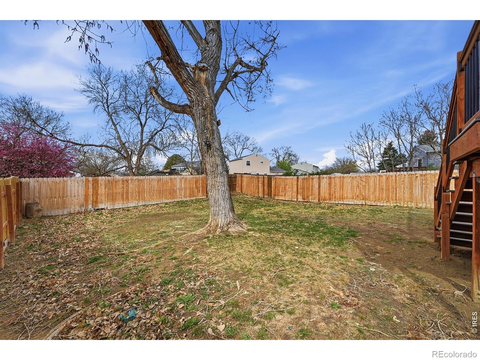 MLS Image #11 for 10745  miller court,broomfield, Colorado