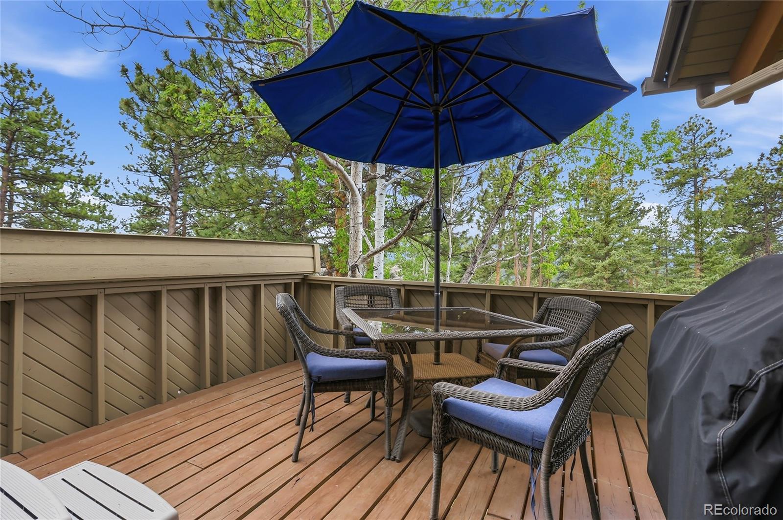 MLS Image #20 for 2320  juniper court,golden, Colorado