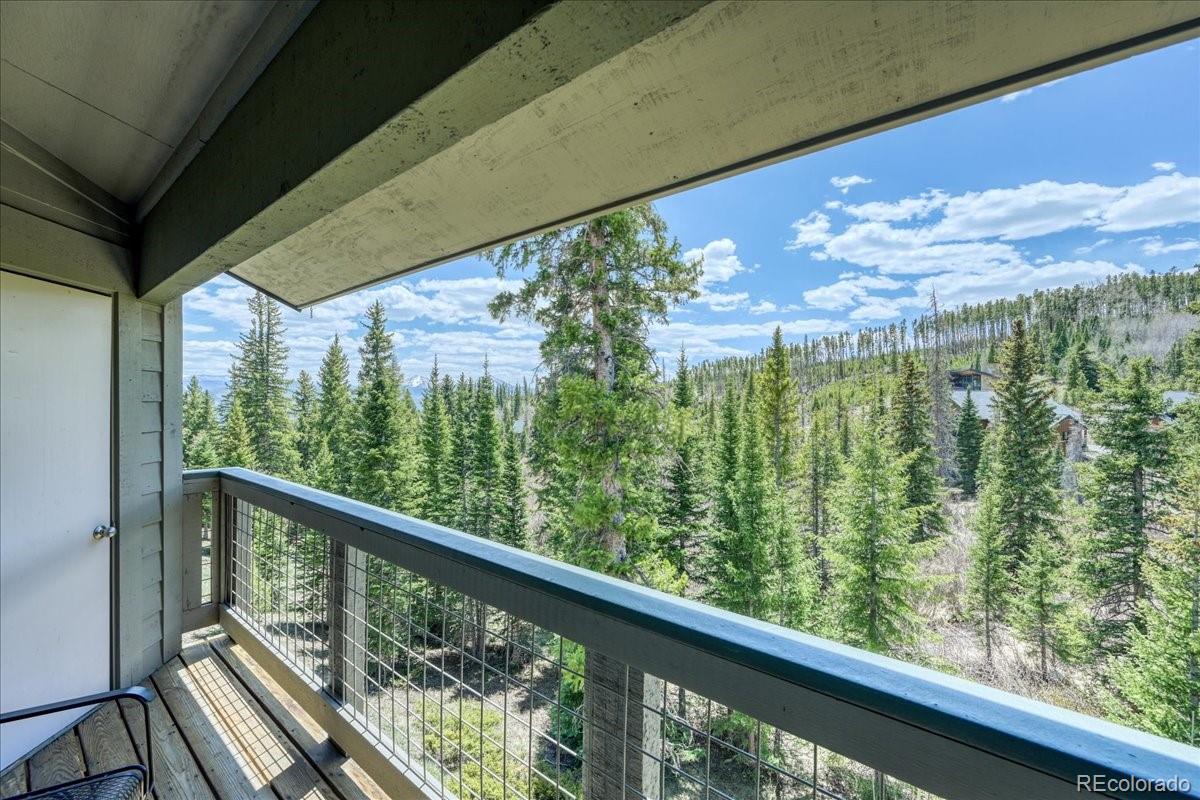 MLS Image #1 for 91399  ryan gulch road,silverthorne, Colorado