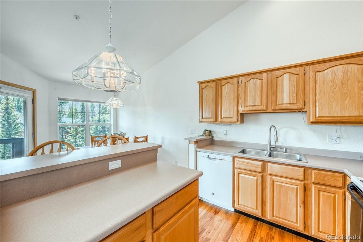 MLS Image #10 for 91399  ryan gulch road,silverthorne, Colorado
