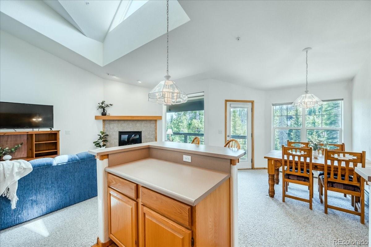 MLS Image #11 for 91399  ryan gulch road,silverthorne, Colorado