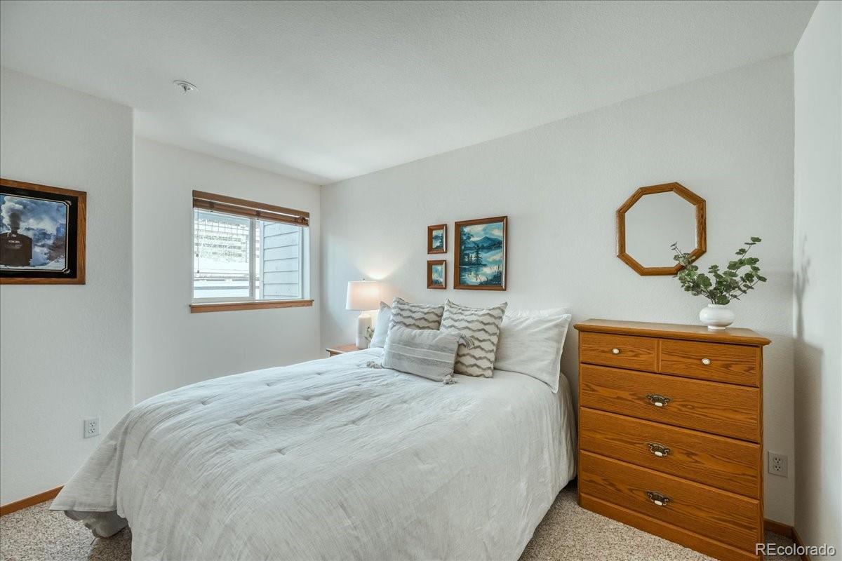 MLS Image #13 for 91399  ryan gulch road,silverthorne, Colorado