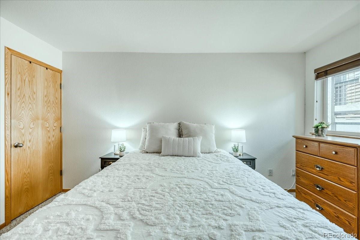MLS Image #19 for 91399  ryan gulch road,silverthorne, Colorado