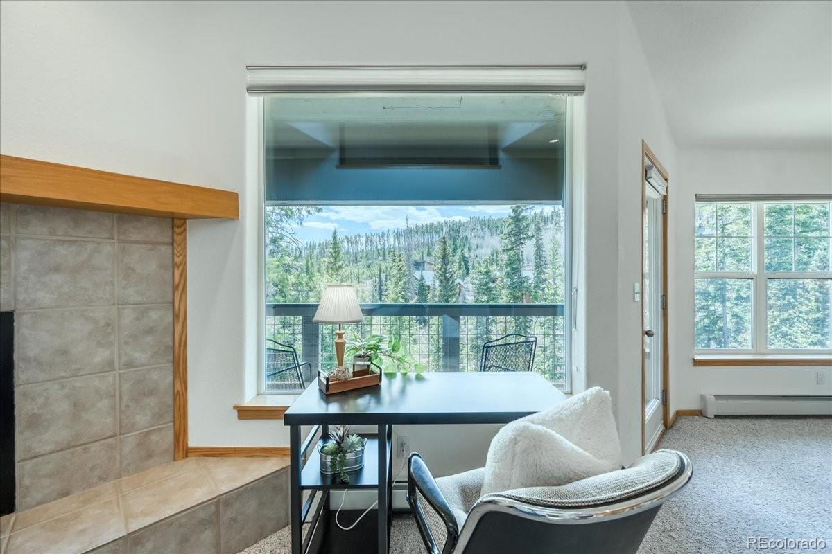 MLS Image #2 for 91399  ryan gulch road,silverthorne, Colorado