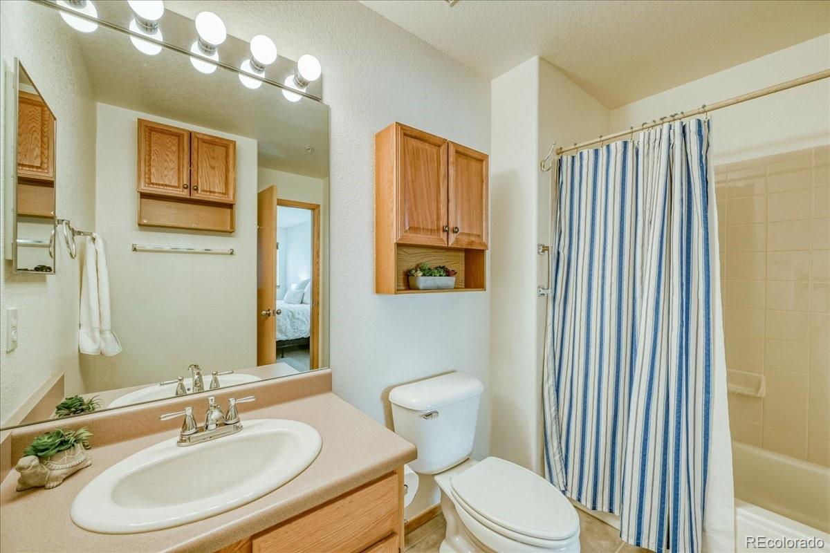 MLS Image #20 for 91399  ryan gulch road,silverthorne, Colorado