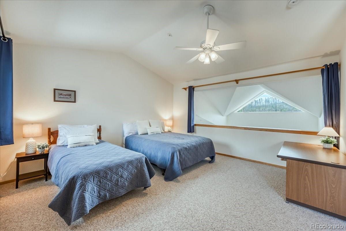 MLS Image #21 for 91399  ryan gulch road,silverthorne, Colorado