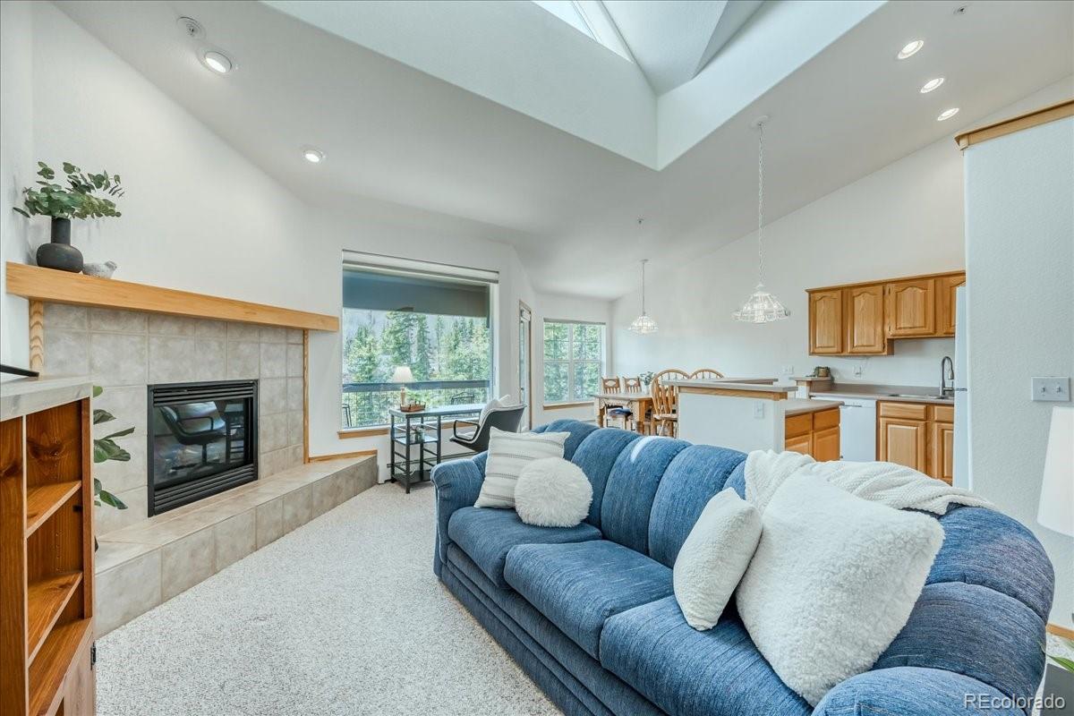 MLS Image #3 for 91399  ryan gulch road,silverthorne, Colorado