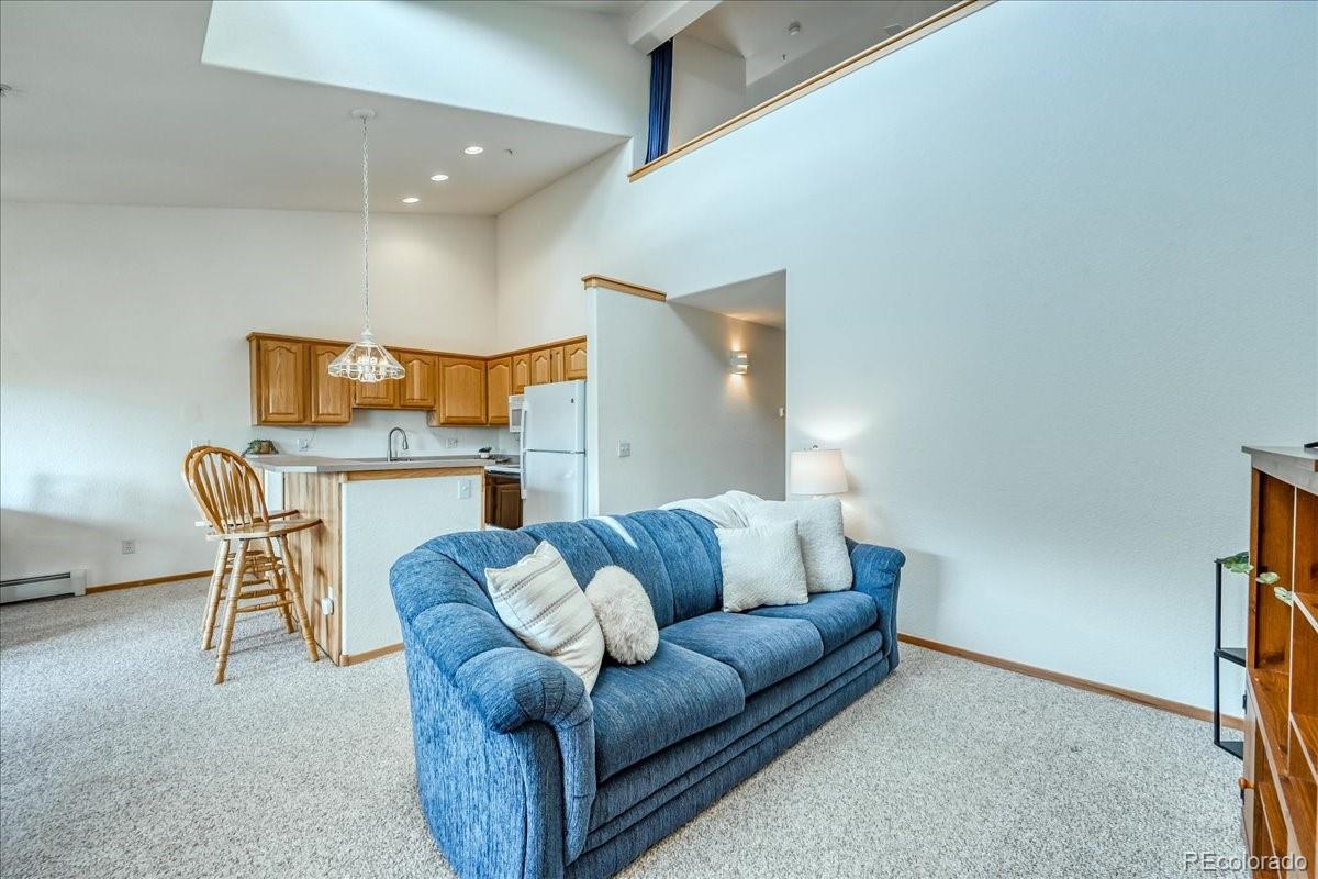 MLS Image #4 for 91399  ryan gulch road,silverthorne, Colorado