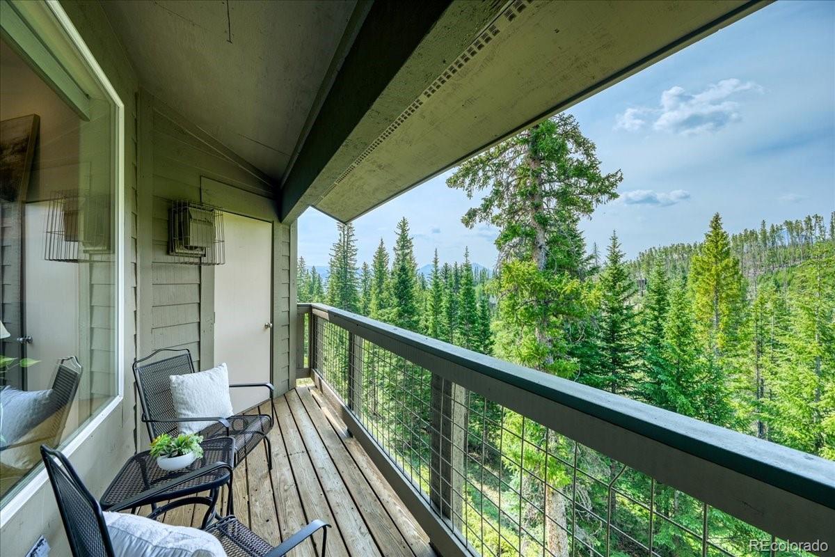 MLS Image #41 for 91399  ryan gulch road,silverthorne, Colorado