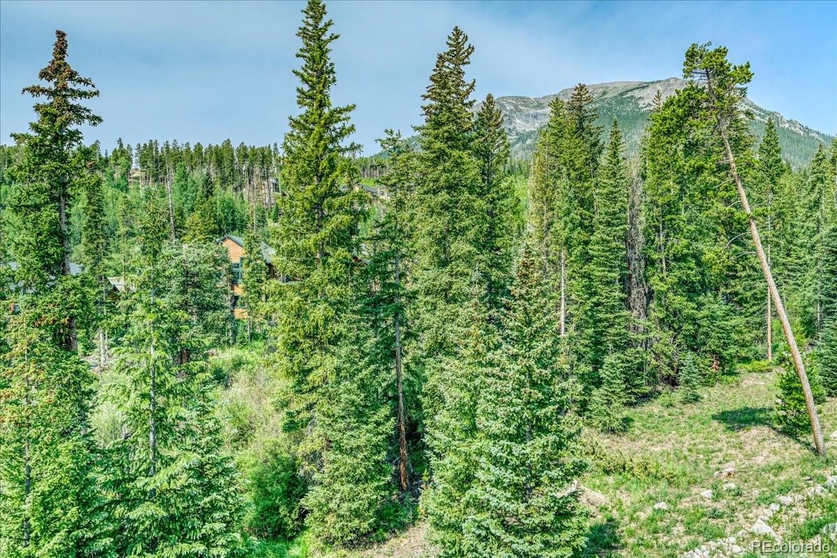 MLS Image #42 for 91399  ryan gulch road,silverthorne, Colorado