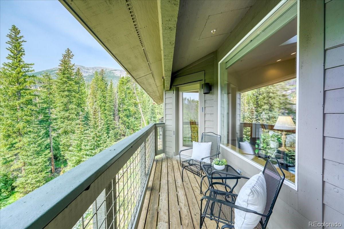 MLS Image #43 for 91399  ryan gulch road,silverthorne, Colorado