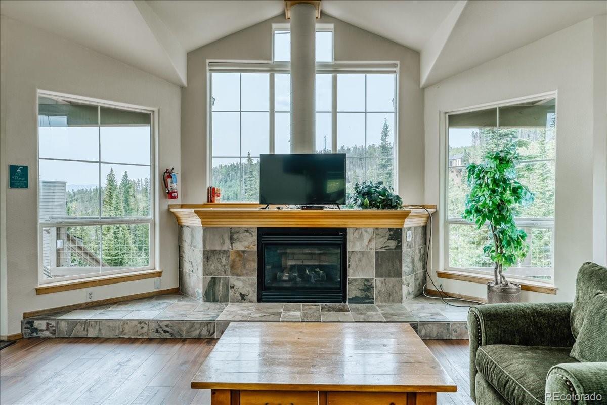 MLS Image #46 for 91399  ryan gulch road,silverthorne, Colorado