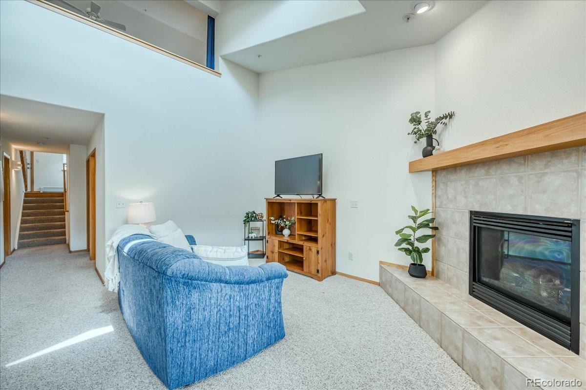 MLS Image #5 for 91399  ryan gulch road,silverthorne, Colorado