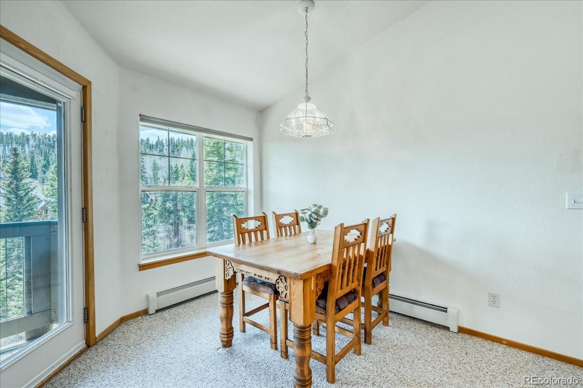 MLS Image #6 for 91399  ryan gulch road,silverthorne, Colorado
