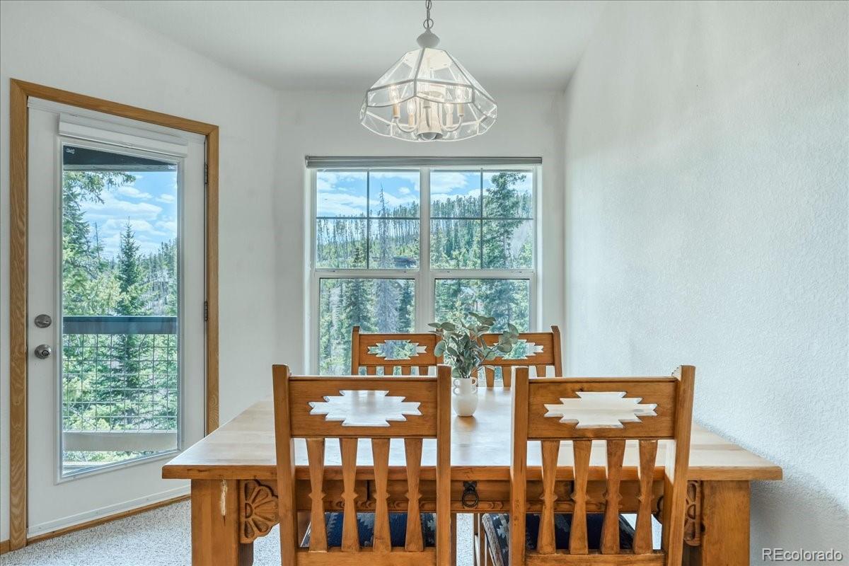 MLS Image #7 for 91399  ryan gulch road,silverthorne, Colorado