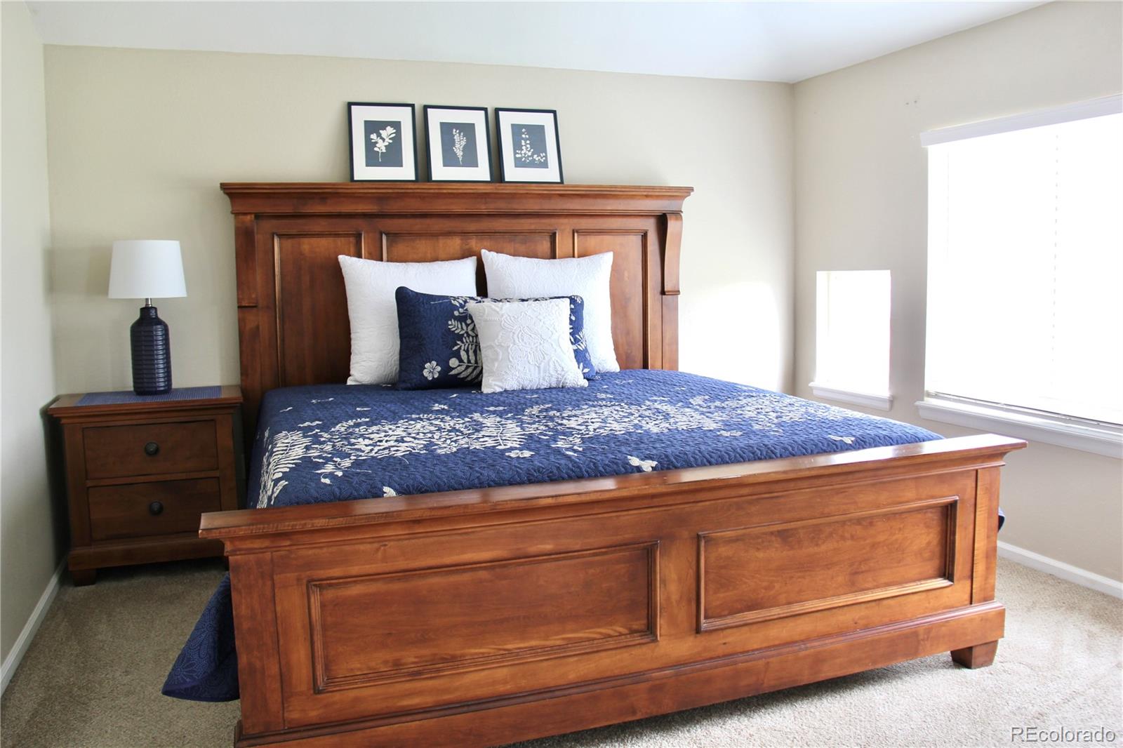 MLS Image #17 for 10755  willow reed court,parker, Colorado