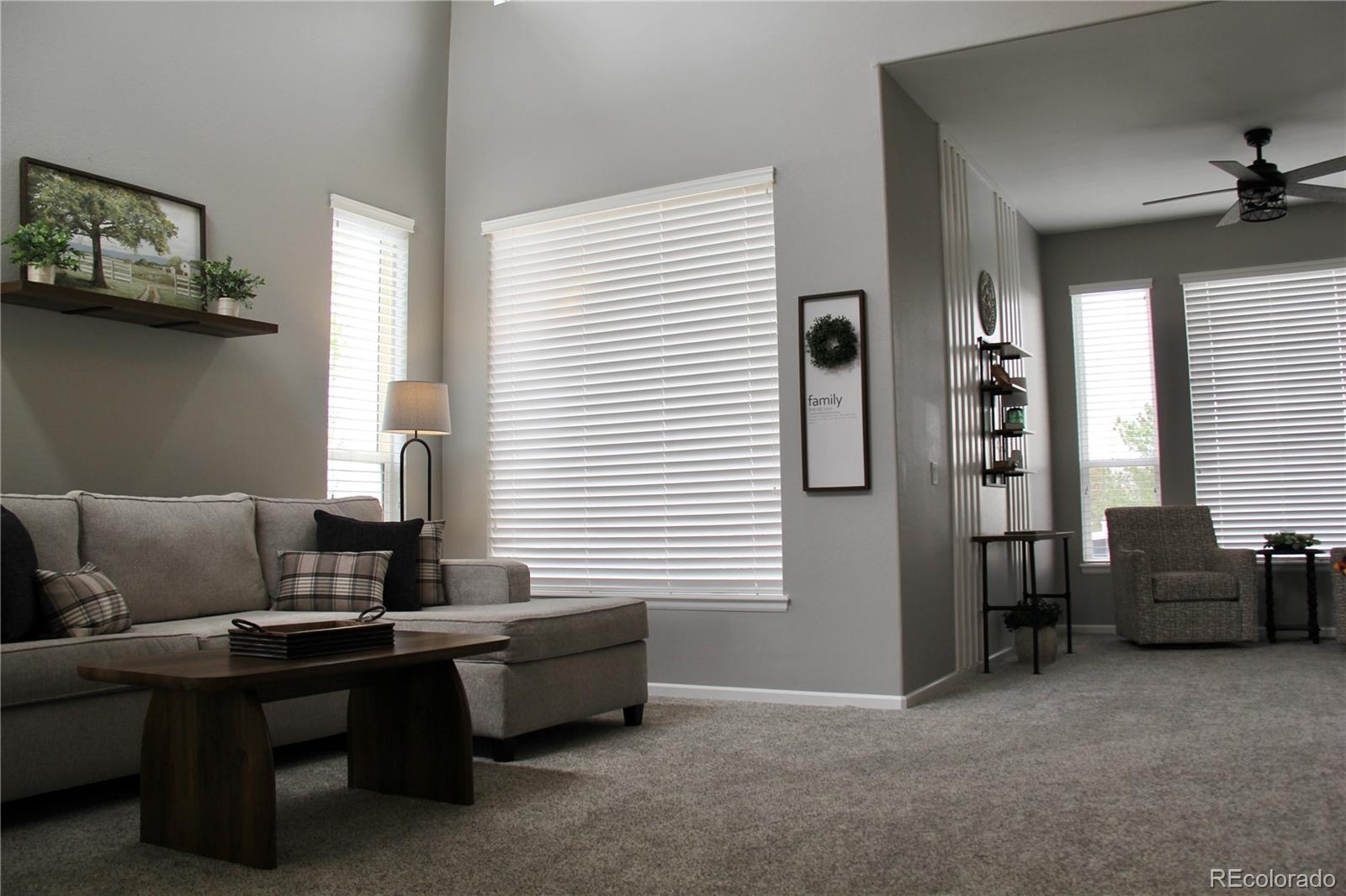 MLS Image #3 for 10755  willow reed court,parker, Colorado