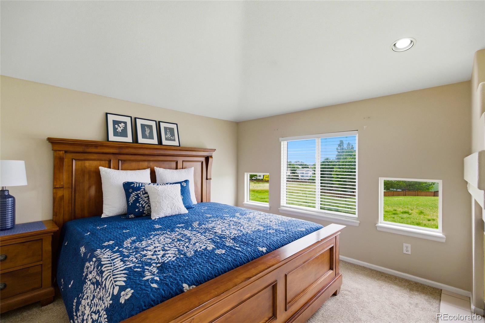 MLS Image #30 for 10755  willow reed court,parker, Colorado