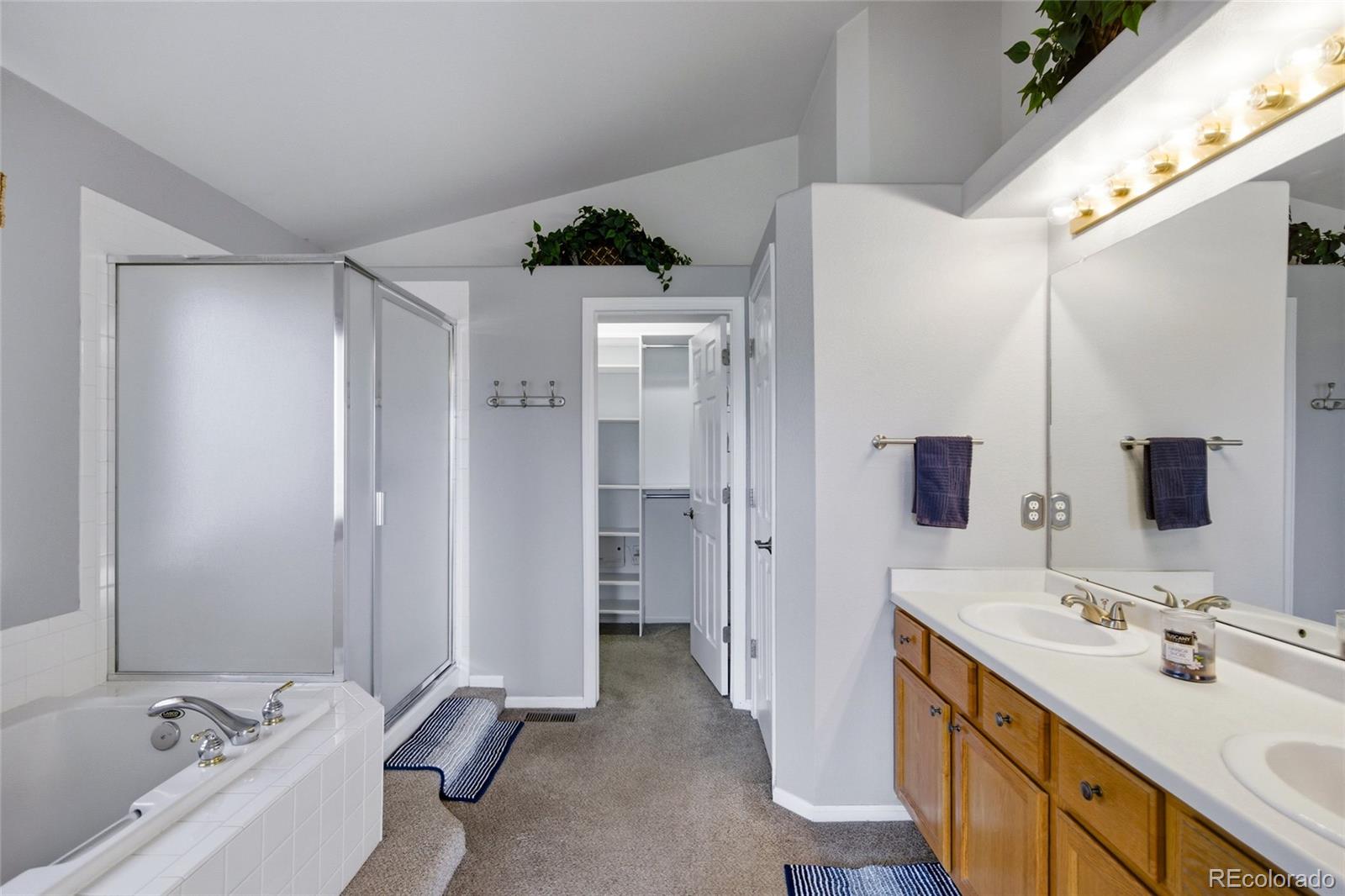 MLS Image #36 for 10755  willow reed court,parker, Colorado