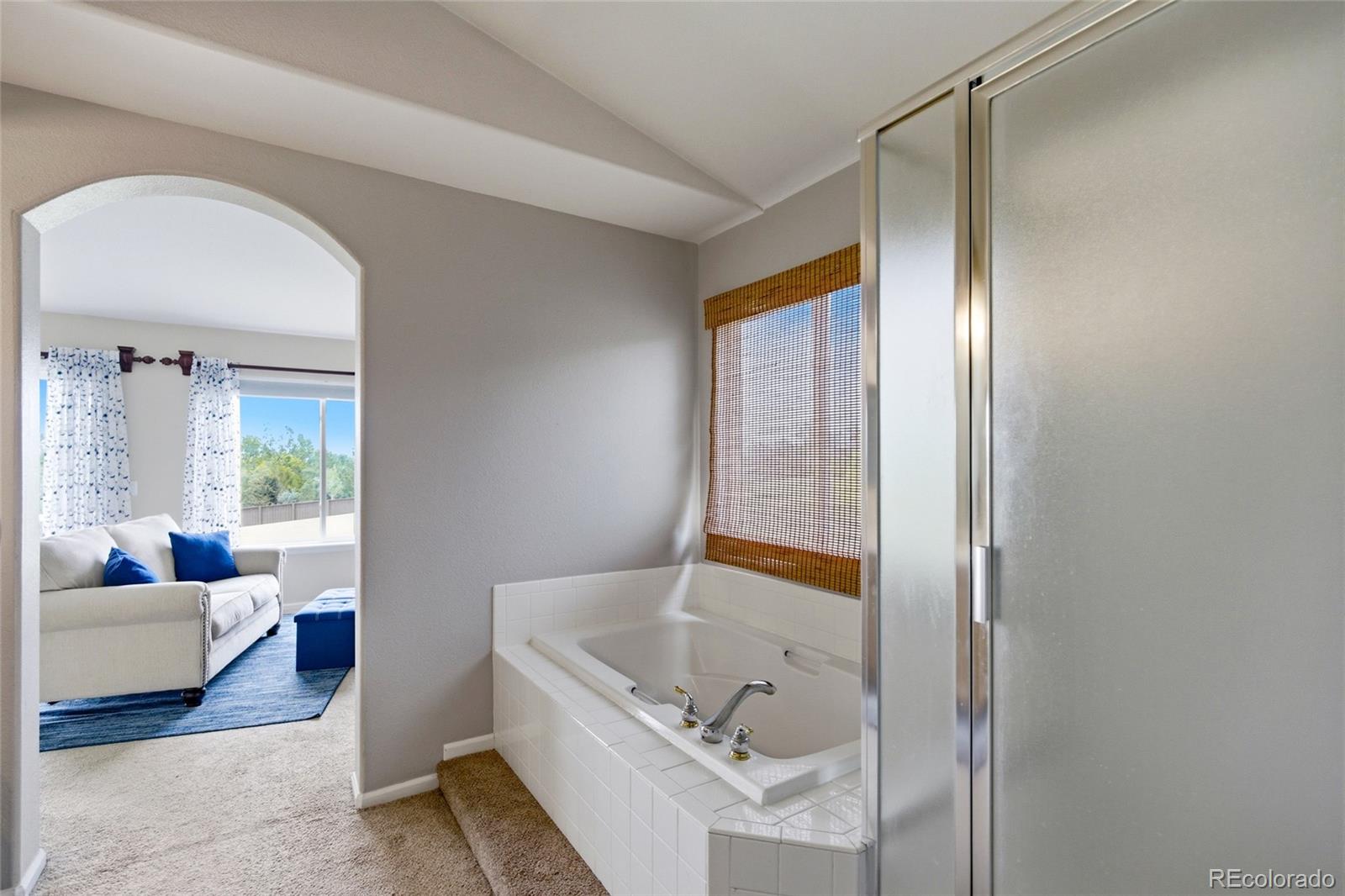 MLS Image #38 for 10755  willow reed court,parker, Colorado