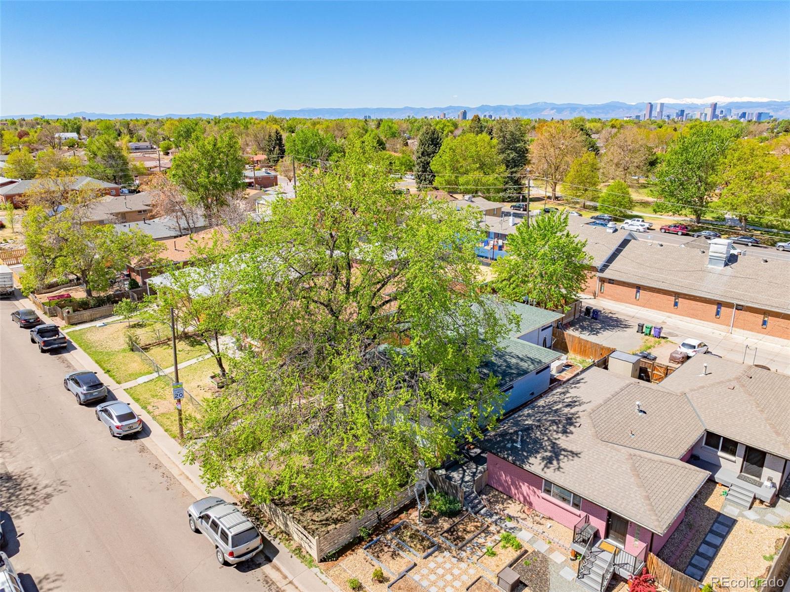 MLS Image #17 for 3351  jasmine street,denver, Colorado