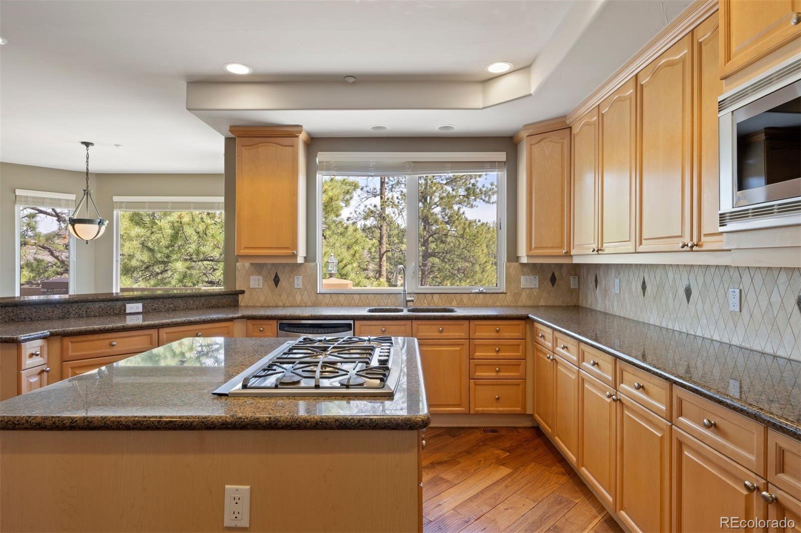 MLS Image #6 for 4730  tierra alta drive,castle rock, Colorado