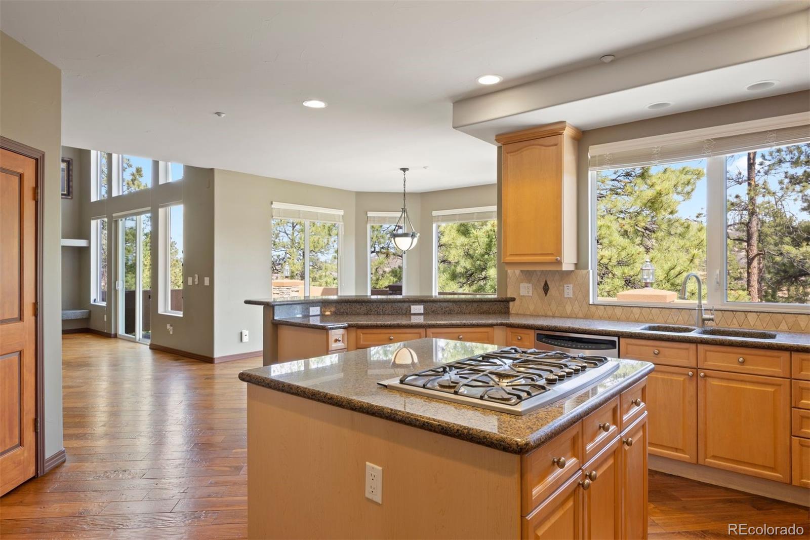 MLS Image #7 for 4730  tierra alta drive,castle rock, Colorado