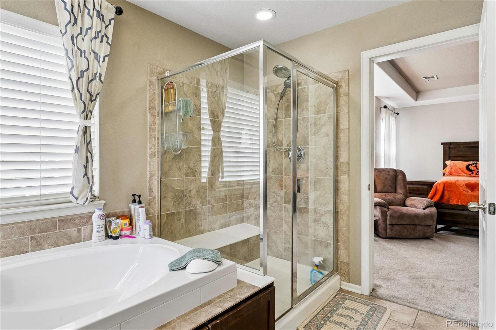 MLS Image #14 for 2810  shadow dance drive,castle rock, Colorado