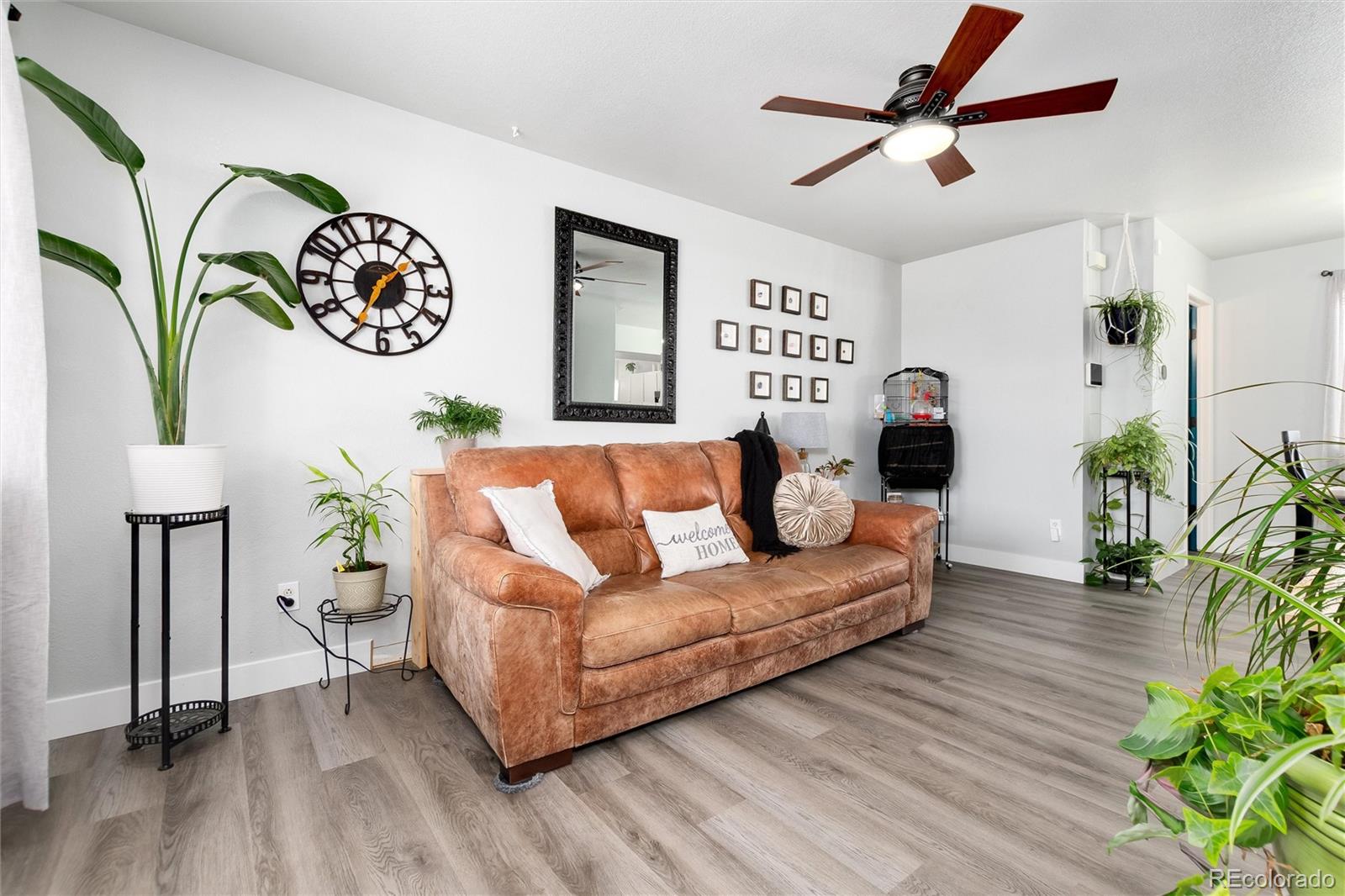 MLS Image #6 for 3709  salida court,evans, Colorado