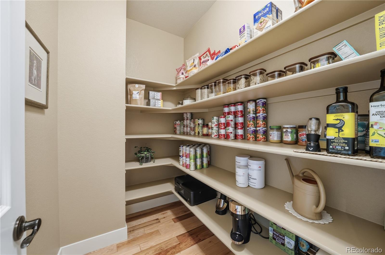 MLS Image #11 for 3177  starry night loop,castle rock, Colorado