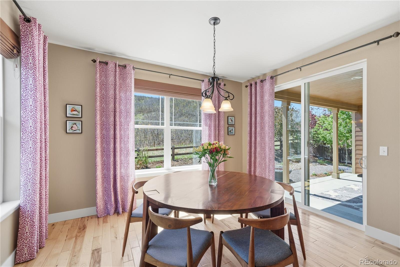 MLS Image #12 for 3177  starry night loop,castle rock, Colorado