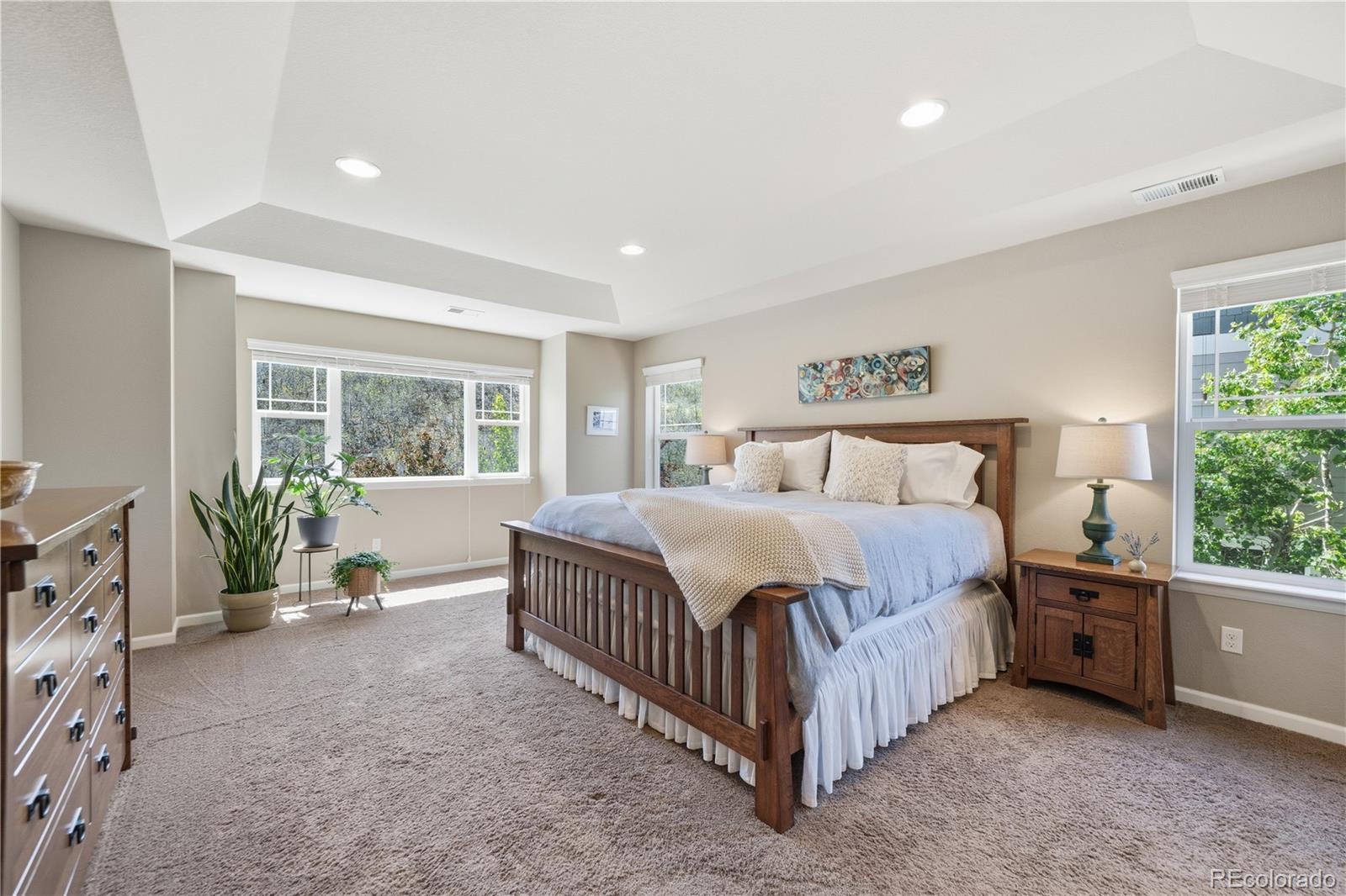 MLS Image #23 for 3177  starry night loop,castle rock, Colorado
